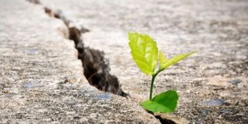 Sức mạnh của lòng quyết tâm