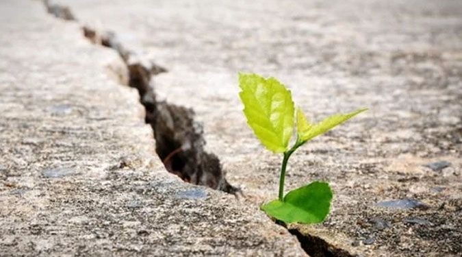 Sức mạnh của lòng quyết tâm